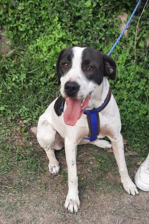 Ronda sucht ihren Platz