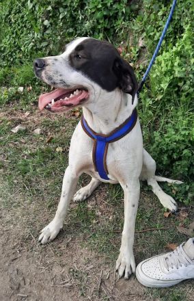 Ronda sucht ihren Platz