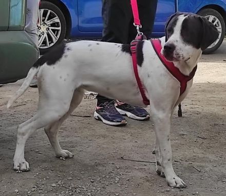 Ronda sucht ihren Platz