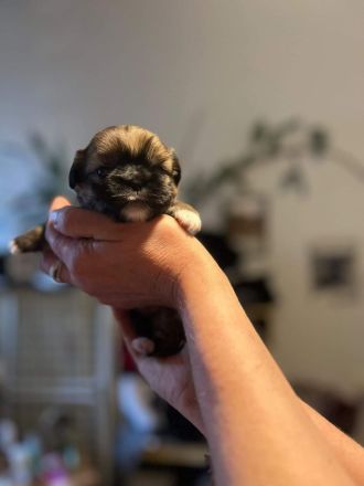 46446 Emmerich am Rhein