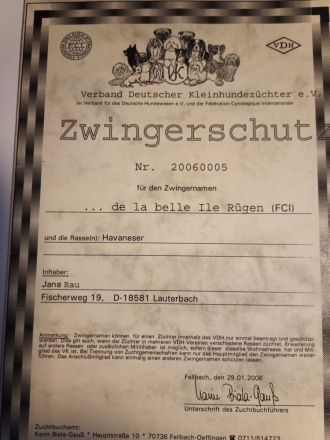 Kleinhund Bezaubernde Havaneserwelpen VDH