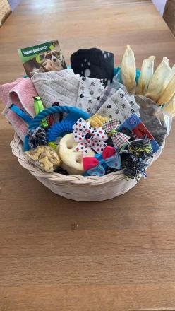 Malteser/Havaneser/Shih-tzu mix Welpen