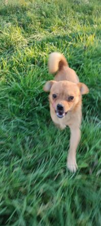 Bonsai sucht seinen eigenen Platz