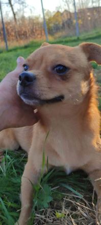 Bonsai sucht seinen eigenen Platz