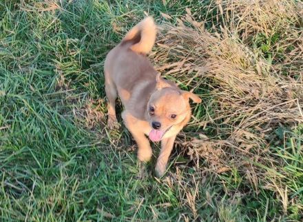 Bonsai sucht seinen eigenen Platz