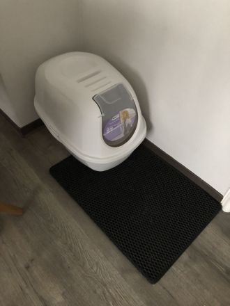 KATZE SUCHT NEUES ZUHAUSE