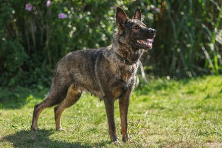 Vom Schloss osterndorf
