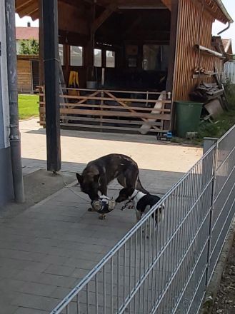 Vom Schloss osterndorf
