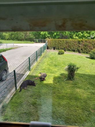 Vom Schloss osterndorf