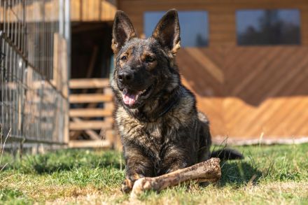 Vom Schloss osterndorf