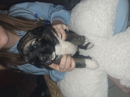 Jack und Tara sind Eltern geworden