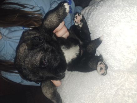 Jack und Tara sind Eltern geworden