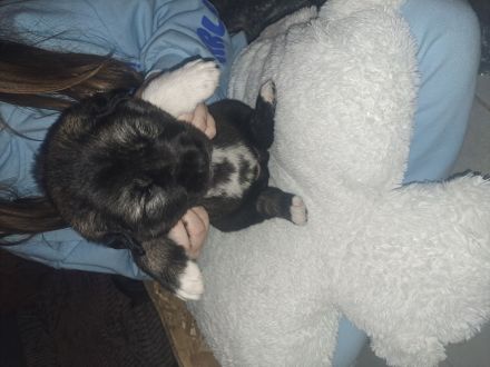 Jack und Tara sind Eltern geworden