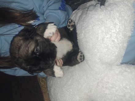 Jack und Tara sind Eltern geworden