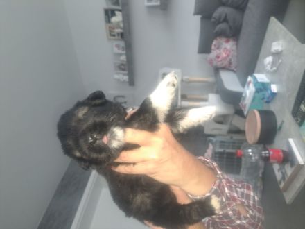 Jack und Tara sind Eltern geworden