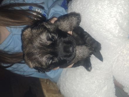 Jack und Tara sind Eltern geworden