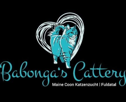 Babonga's Maine Coon Zucht