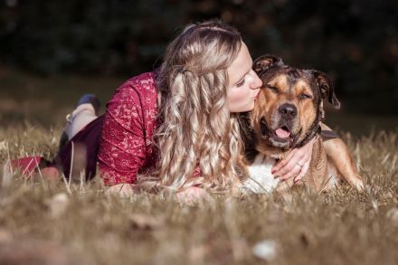 Hundetraining GlücksFelle
