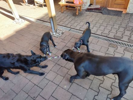 2 Mädels suchen noch