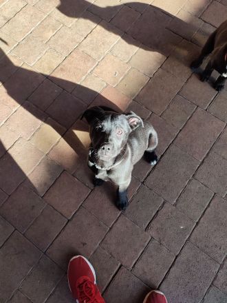 2 Mädels suchen noch