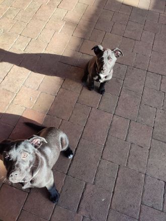 2 Mädels suchen noch