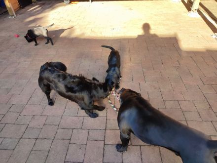 2 Mädels suchen noch