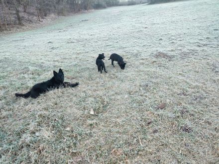 2 Mädels suchen noch