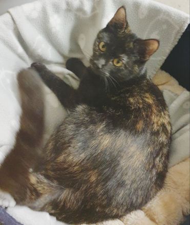 Sina und Sammy suchen ihr Glück