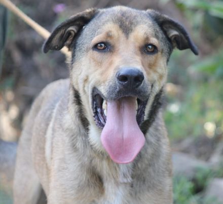 Rio ein wahrer Goldschatz