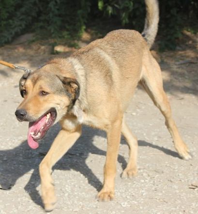 Rio ein wahrer Goldschatz