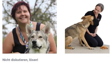 Nicht diskutieren, lösen!