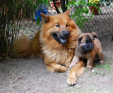 von der frischen Quelle