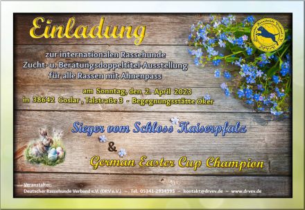 Internationale Doppeltitel - Rassehundeschau in Goslar - Niedersachsen