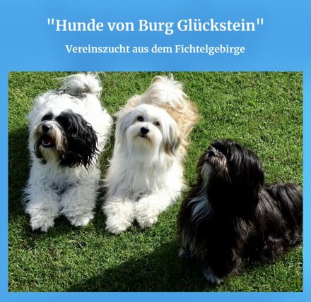 von Burg Glückstein