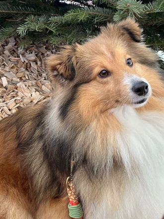 Holy Harbour’s Treasure