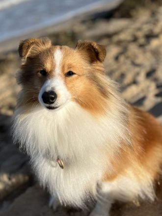 Holy Harbour’s Treasure