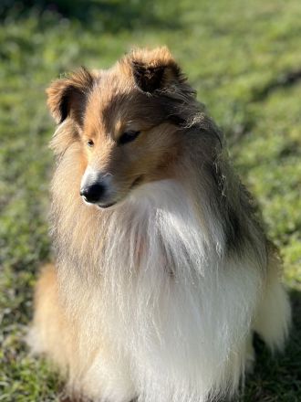 Holy Harbour’s Treasure