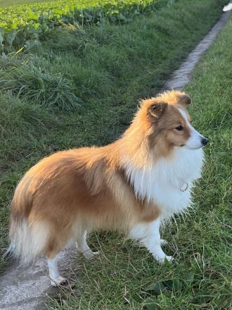 Holy Harbour’s Treasure