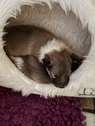 Holy Harbour’s Treasure