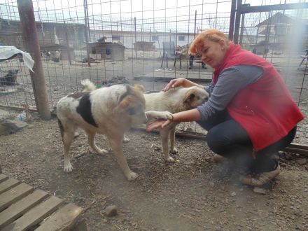 Tierhilfe "We have a dream" e. V.