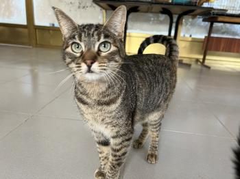 Piti und Pelusa, Mutter-Tochter-Gespann