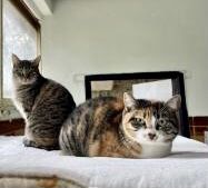 Piti und Pelusa, Mutter-Tochter-Gespann