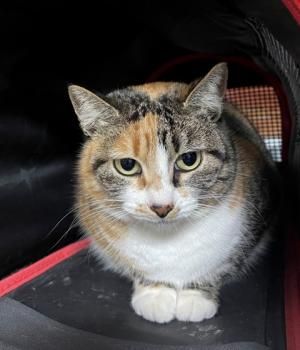 Piti und Pelusa, Mutter-Tochter-Gespann