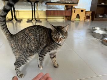 Piti und Pelusa, Mutter-Tochter-Gespann