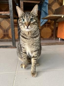 Piti und Pelusa, Mutter-Tochter-Gespann