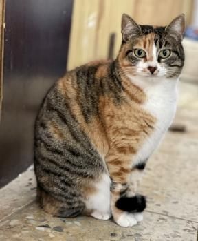 Piti und Pelusa, Mutter-Tochter-Gespann