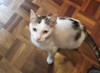 Lola und Lily, fast zahnlos