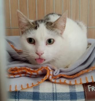 Lola und Lily, fast zahnlos