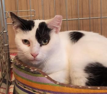 Lola und Lily, fast zahnlos