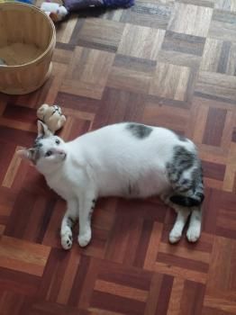 Lola und Lily, fast zahnlos